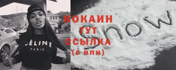СК Бронницы