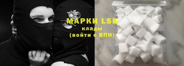 прущий лед Бородино