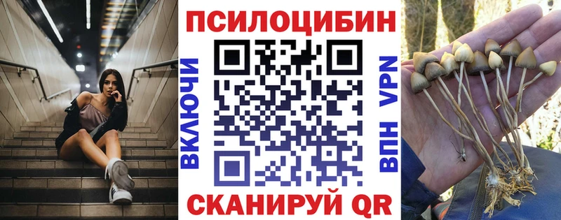 Псилоцибиновые грибы Magic Shrooms  Купить где  Олонец 